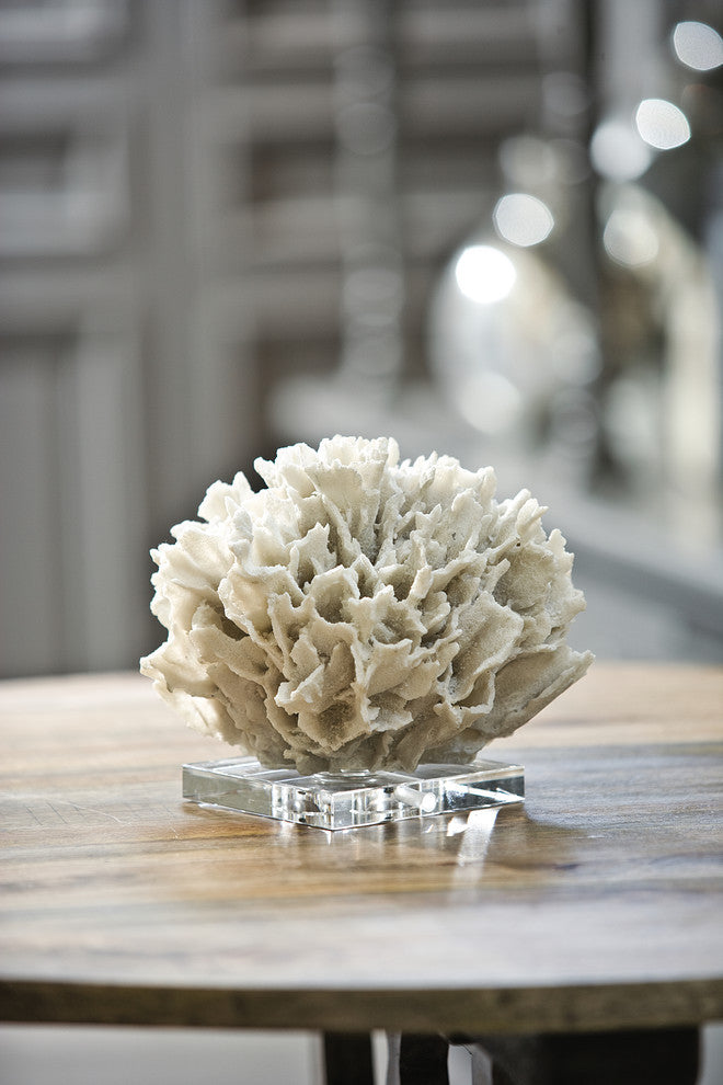 Ribbon Coral, White