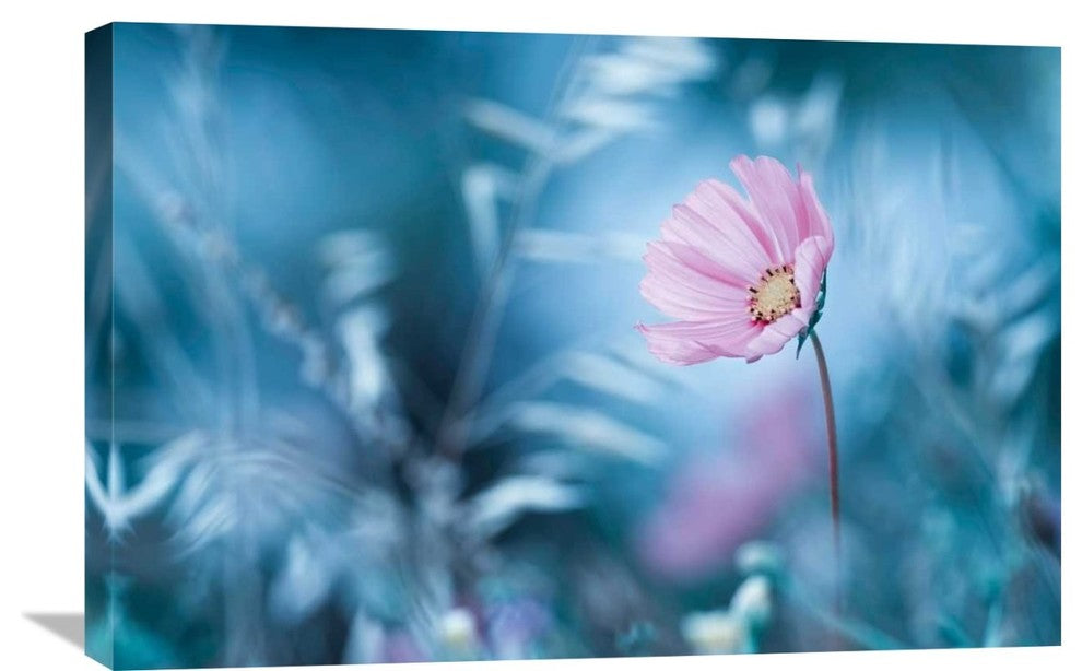 "A Walk In Dreamland" Stretched Canvas Giclee by Fabien Bravin, 30"x20"