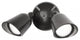 Endurance Double Spot LED Spot-Light 5000K Cool White, Architectural Black