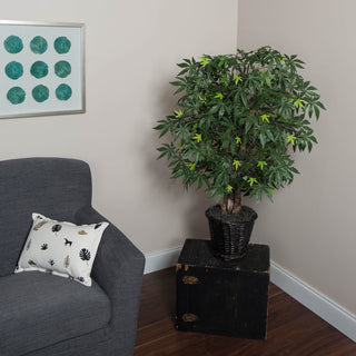 Product shown in a real room setting with furniture; lifestyle context and the full plant visible.
