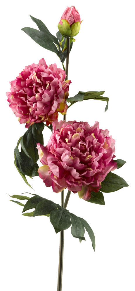 Pink Peony Stem, Set of 3