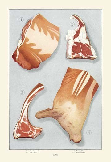 Cuts of Lamb - Gallery Wrapped Canvas Art 28" x 42"