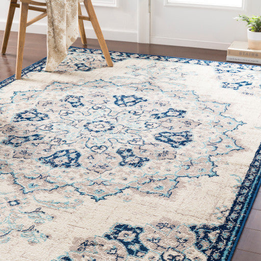 Surya Paramount PAR-1111 7'10"x11'2" Rug, Aqua/Dark Blue/Cream/Light Gray