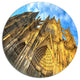 Facade Of Dom Church With Blue Sky, Cityscape Disc Metal Wall Art, 11"