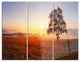 "Lonely Tree at Sunset" Photography Metal Wall Art, 3 Panels, 36"x28"