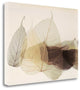 "Chablis" By Durwood Zedd, Giclee Print on Gallery Wrap Canvas, Ready to Hang