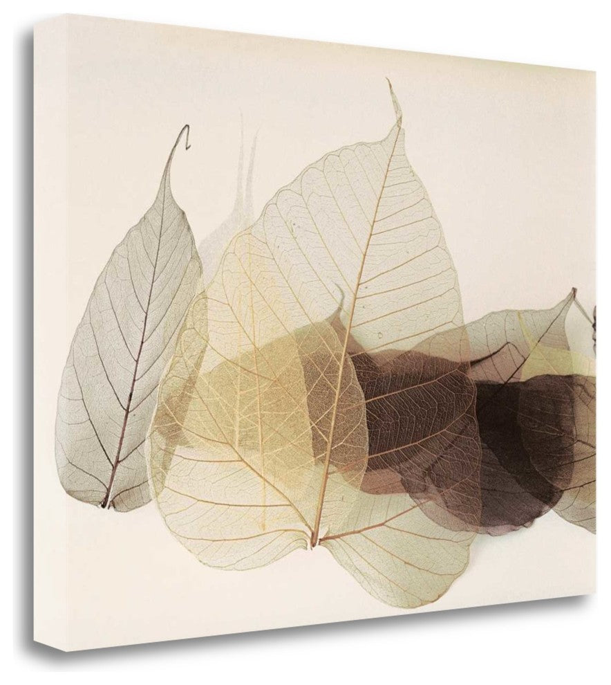 "Chablis" By Durwood Zedd, Giclee Print on Gallery Wrap Canvas, Ready to Hang