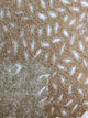 Ivory Decorative Pillow Shams 24"x24" Cotton, Gold Oak Tree