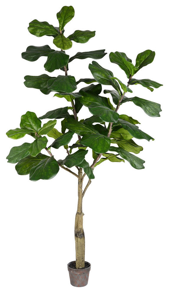 Vickerman Potted Fiddle Tree, 6'
