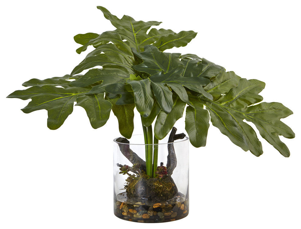 Philodendron Arrangement With Vase