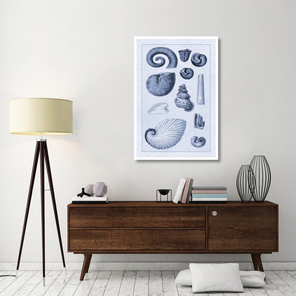 "Shells: Ammonacea (Blue)" Digital Paper Print by G.B. Sowerby, 34"x50"