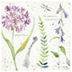 "Soft Nature III" Digital Paper Print by Anne Tavoletti, 20"x20"