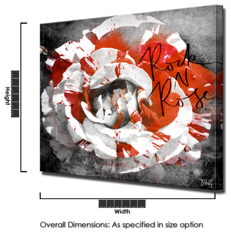 Born2BWild III-B Canvas Wall Art, 16"x16"