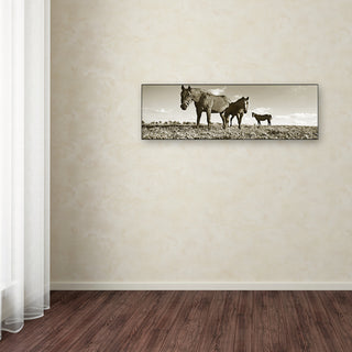 'Kentucky Horses' Canvas Art by Preston