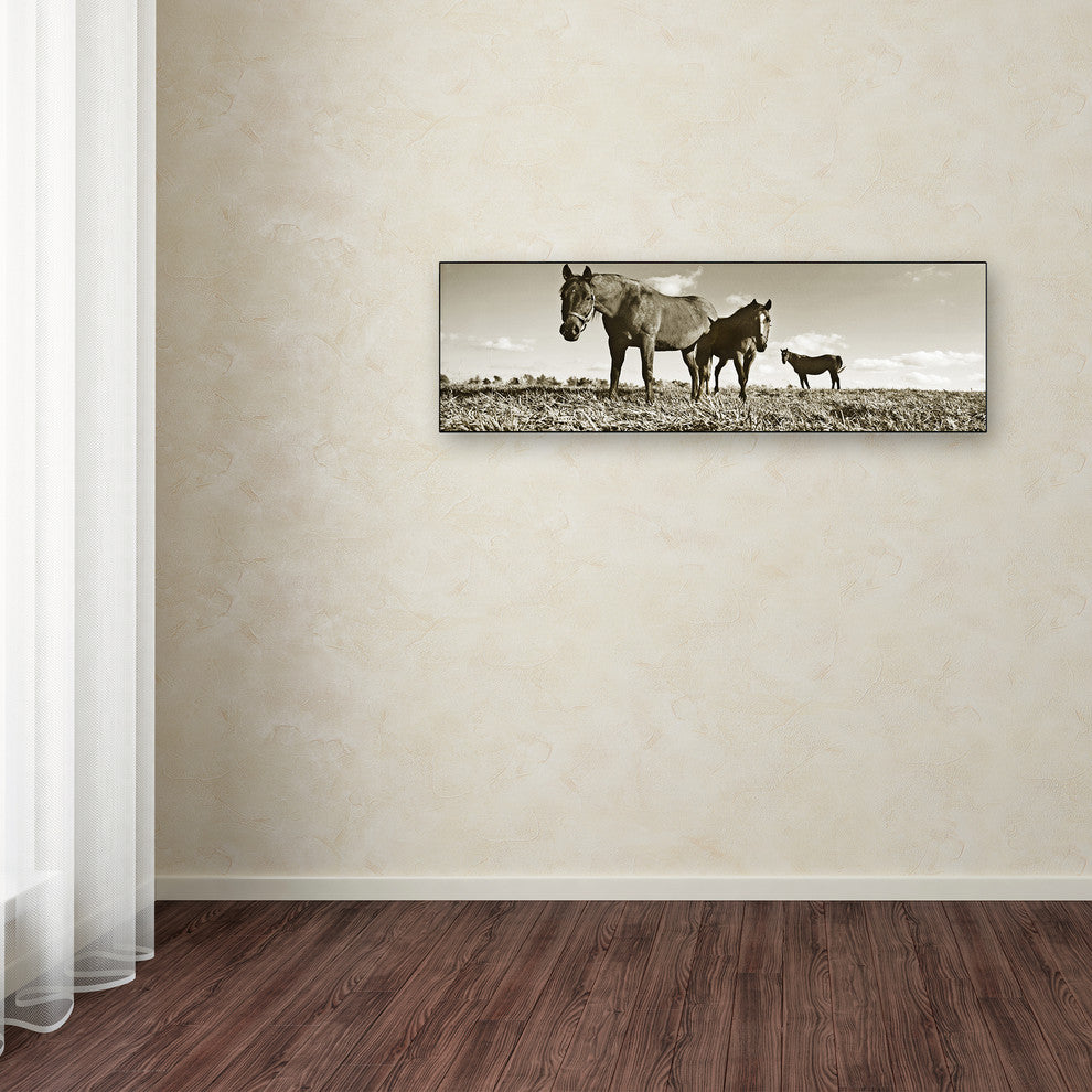 'Kentucky Horses' Canvas Art by Preston