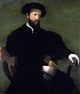 Cecchino Del Salviati Portrait of a Gentleman, 20"x25" Wall Decal