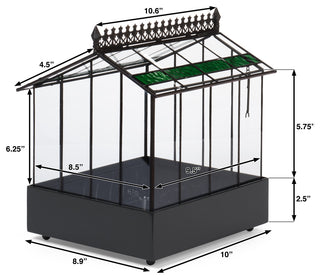 Plant Glass Terrarium Container, Indoor Planter, Wardian Case