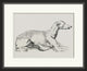 Sampson, Giclee Reproduction Artwork