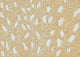 Lebombo Lodge Area Rug, Indoor/Outdoor, Carpet, Runner, Mat, Goldenrod SQ 6'x6'