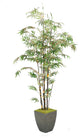 8' Bamboo Tree in Square Metal Planter