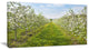 Bloomy Peach Forest Photography, Floral Canvas Art Print, 32"x16"