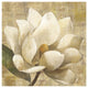 "Magnolia Blossom on Script" Digital Paper Print by Albena Hristova, 42"x42"