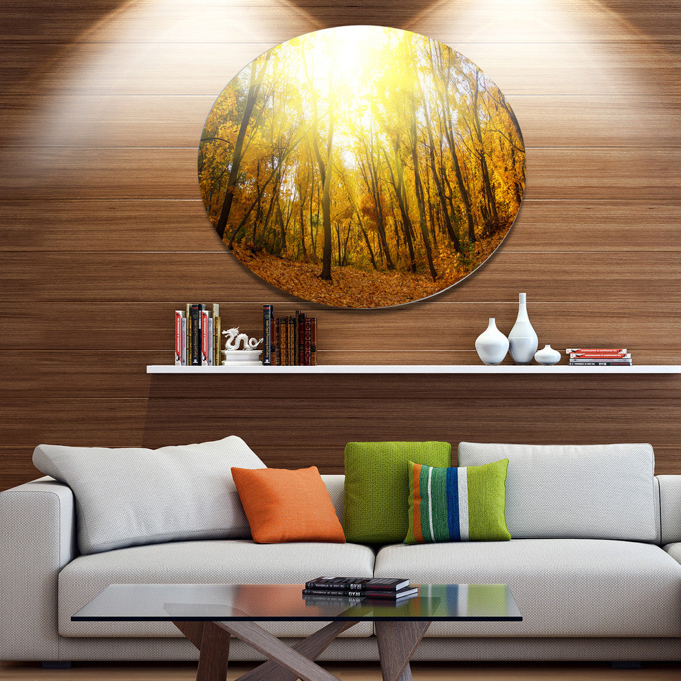 Yellow Autumn Forest In Sunlight, Forest Disc Metal Wall Art, 11"