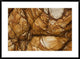 Volcanic Rock, Onawe, Banks Peninsula, Canterbury, New Zealand, 36"x26"