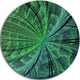 Symmetrical Soft Green Fractal Flower, Floral Disc Metal Wall Art, 23"