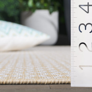 Safavieh Terrace Collection TER804 Rug, Beige/Ivory, 8'x10'