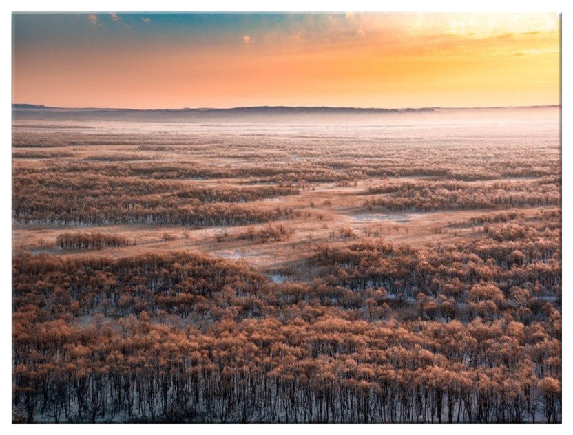 Dawn'' Canvas Wall Decor