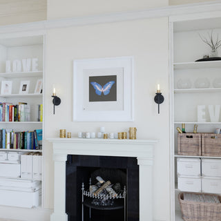 Vaxcel Lighting W0391 Warren 16" Tall Bathroom Sconce - Matte Black / Brushed