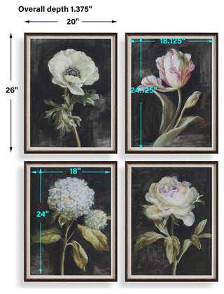 Uttermost Florals On Black Framed Prints Set of 4