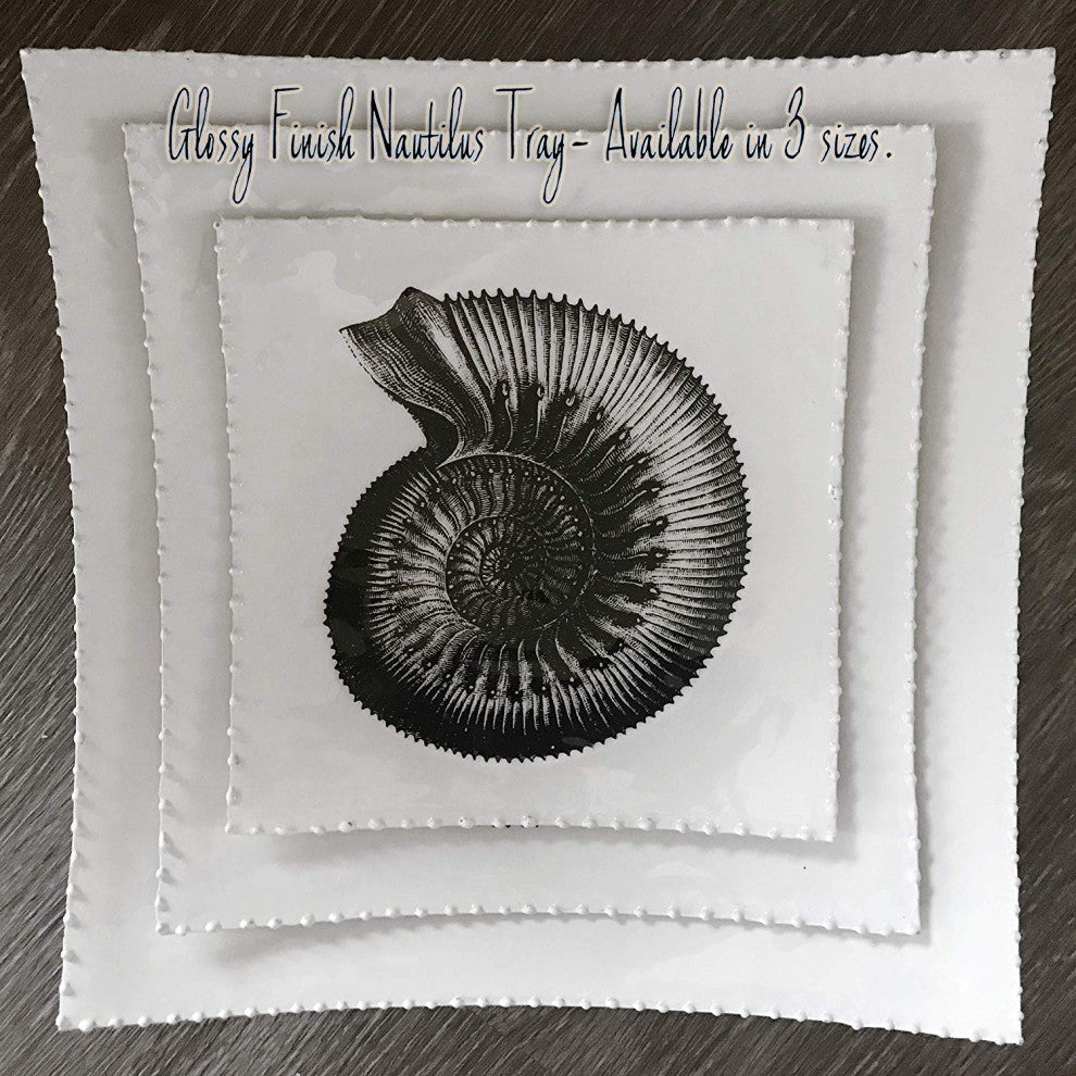 Decorative Tray with Display Stand with Nautilus Shell in Black & White, Medium