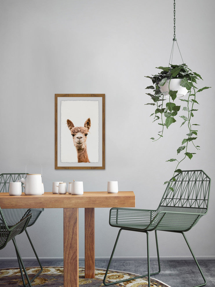 "Llama Face II" Framed Painting Print, 20"x30"