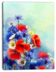 Blue Cornflower and White Daisy, Floral Canvas Art Print, 12"x20"