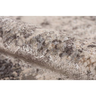 Cambridge Area Rug, Silver Sand, 2' x 3'3", Abstract