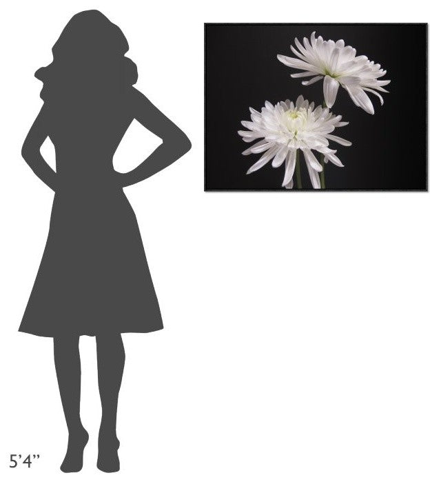 Simple Beauty, 32"x24"