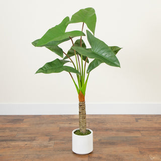 Artificial Arrowhead Philodendron, White Decorative Planter, 4.5ft.