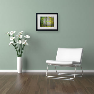 'Sugar Low' Matted Framed Canvas Art by Philippe Sainte-Laudy