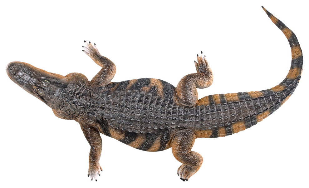 Stalking Swamp Alligator Statue