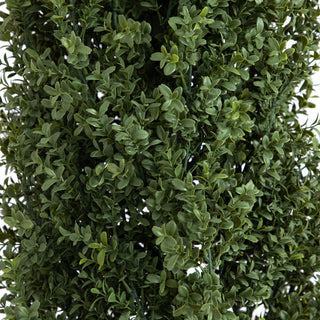 Close-up of foliage on a white background (alternate_white_close).