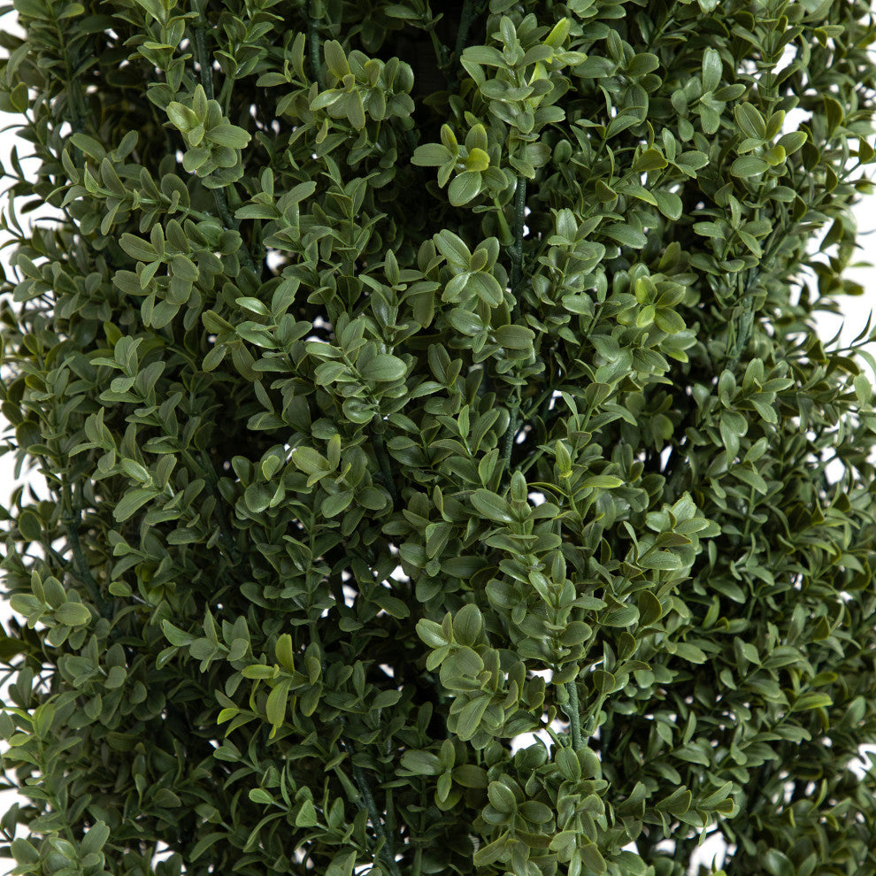 Close-up of foliage on a white background (alternate_white_close).
