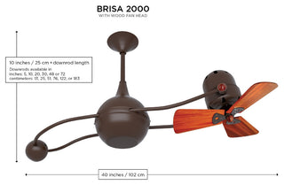 Bianca Direcional 16" Directional Ceiling Fan, Polished Brass