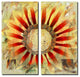Painted Petals XLV Canvas Wall Art 2-Piece Set, 24"x12"