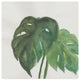 Chris Paschke ''Tropical Palm Ii'' Canvas Art, 18"x18"
