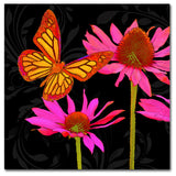 Tina Lavoie 'Color Pop II' Canvas Art, 35" x 35"