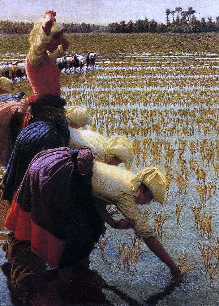Angelo Morbelli In the Rice Fields, 18"x27" Wall Decal Print