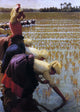 Angelo Morbelli In the Rice Fields, 18"x27" Wall Decal Print