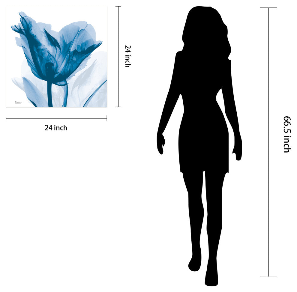 "Lusty Blue Tulip" Frameless Free Floating Panel Graphic Wall Art, 24"x24"